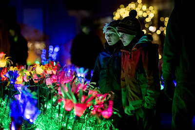 An evening image of two children looking at the plastic flowers at Night Lights.