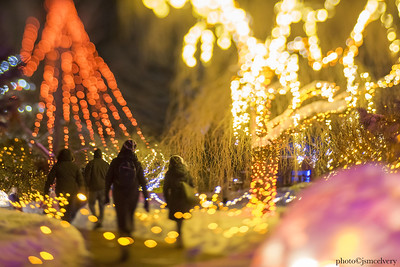 Visitors walk along a path during Night Lights.