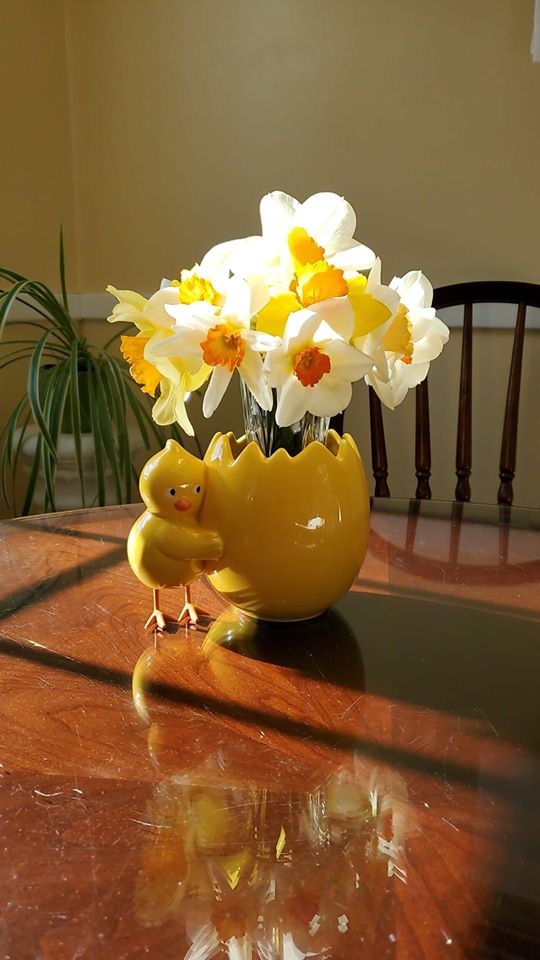 93908704_814913902245487_4959439306952278016_o A chick vase is filled with daffodils.