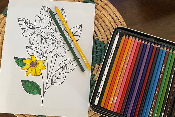 A flower coloring page and colored pencils.