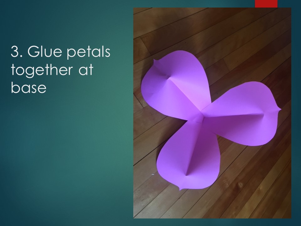 An image that explains how to make paper flowers.