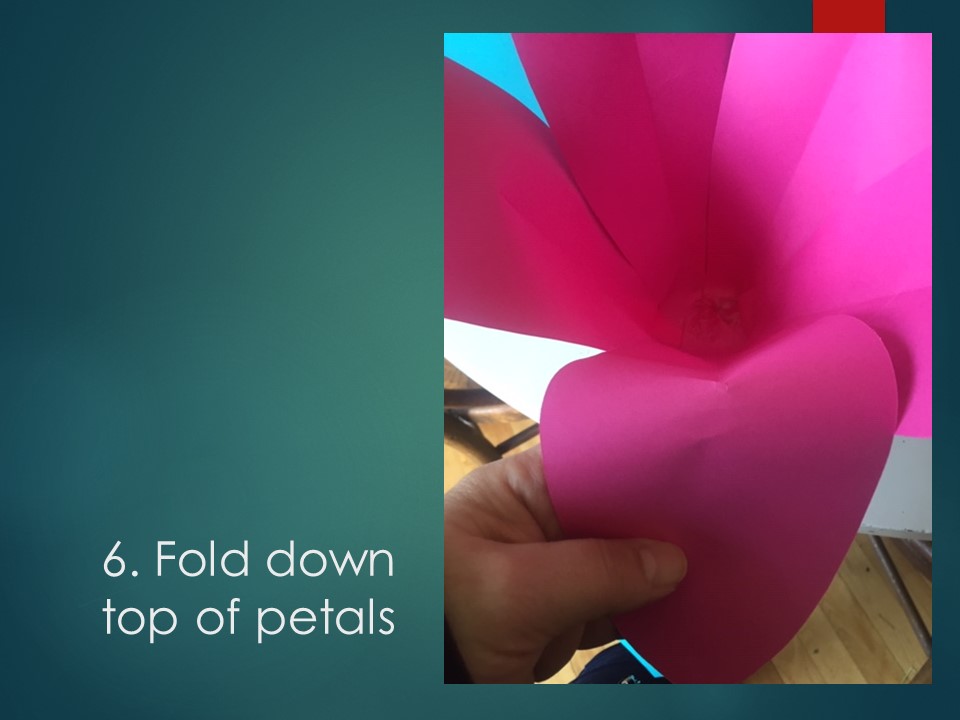 An image that explains how to make paper flowers.