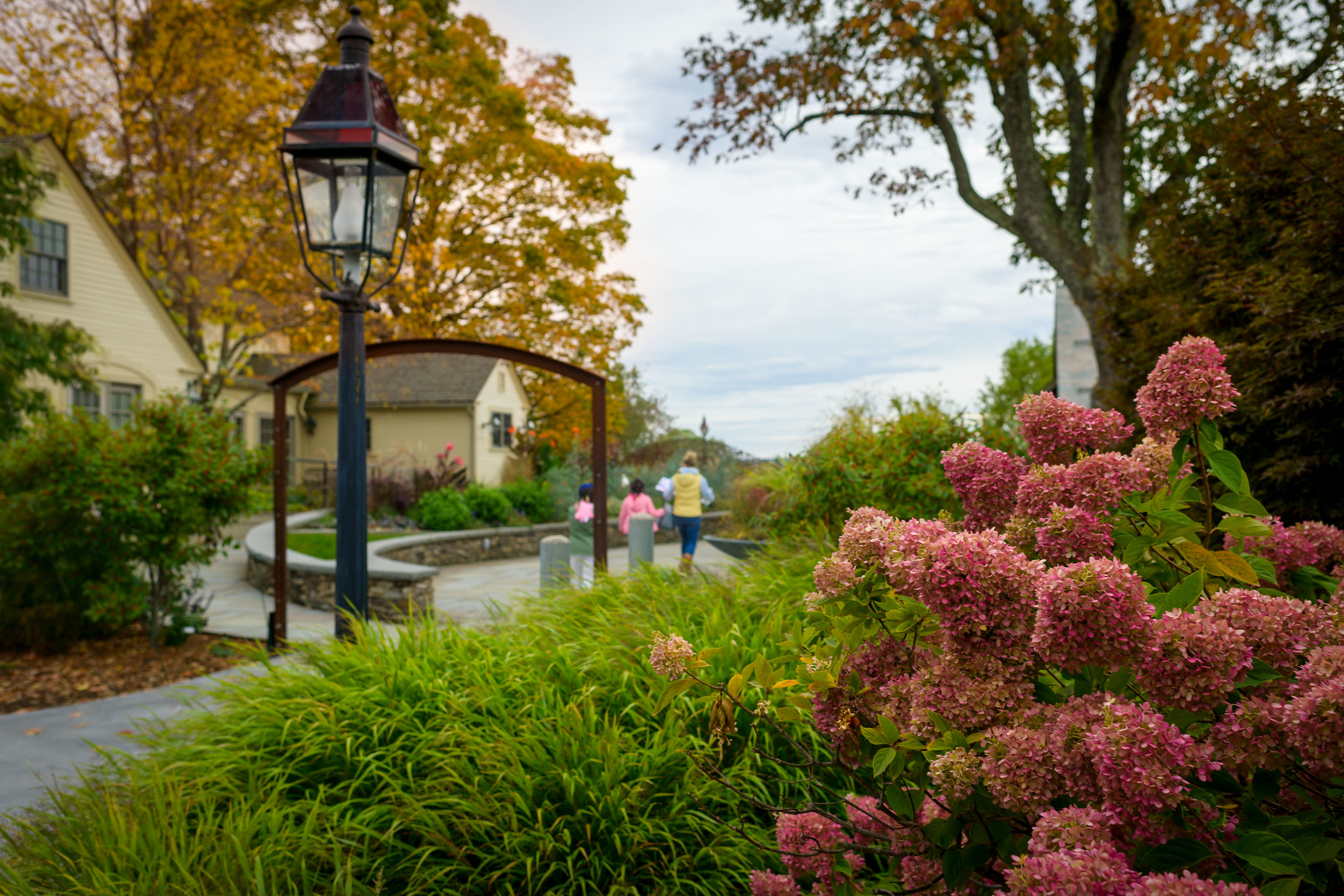 Wachusett Fall Foliage