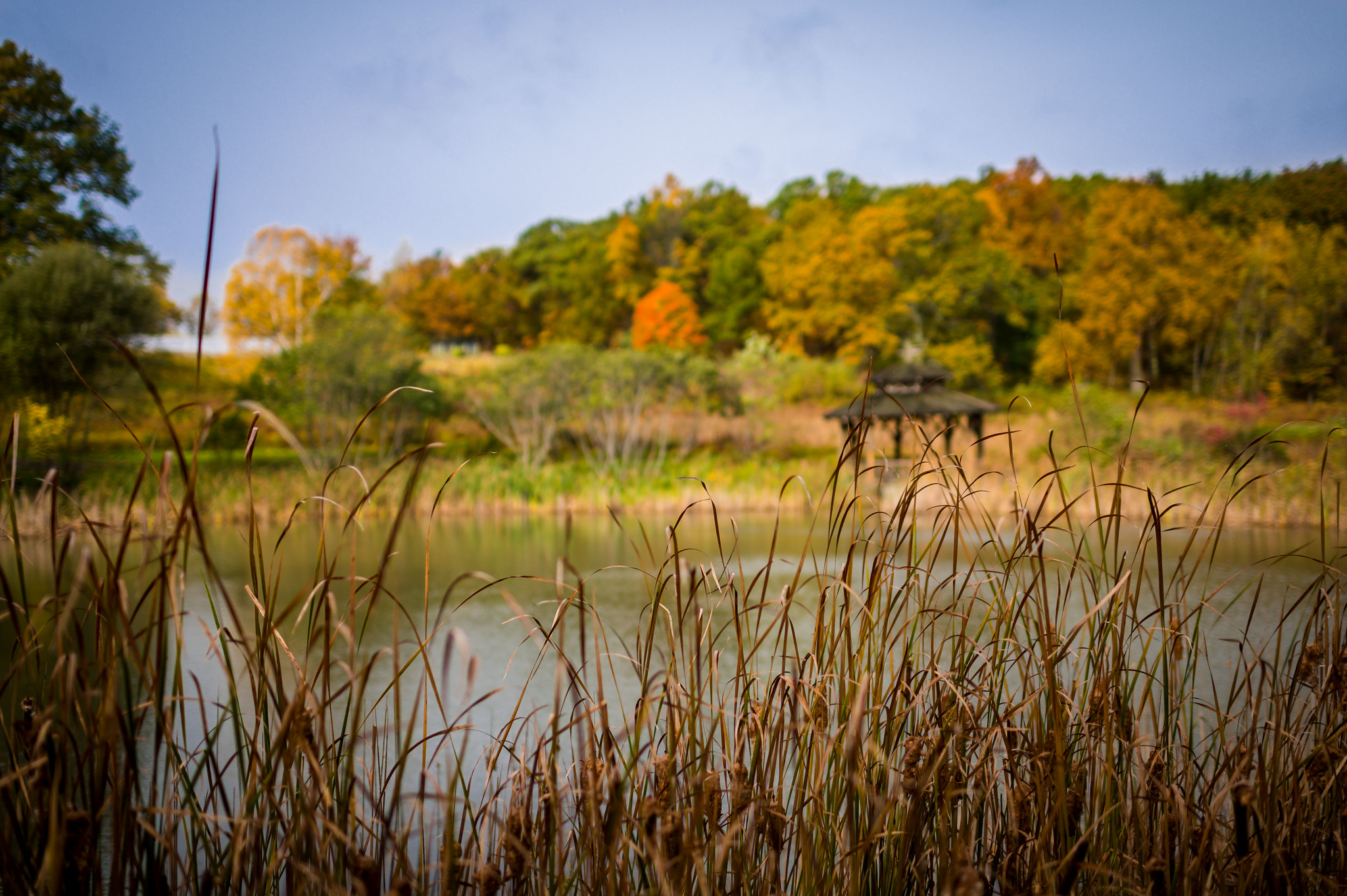 Refuge Pond