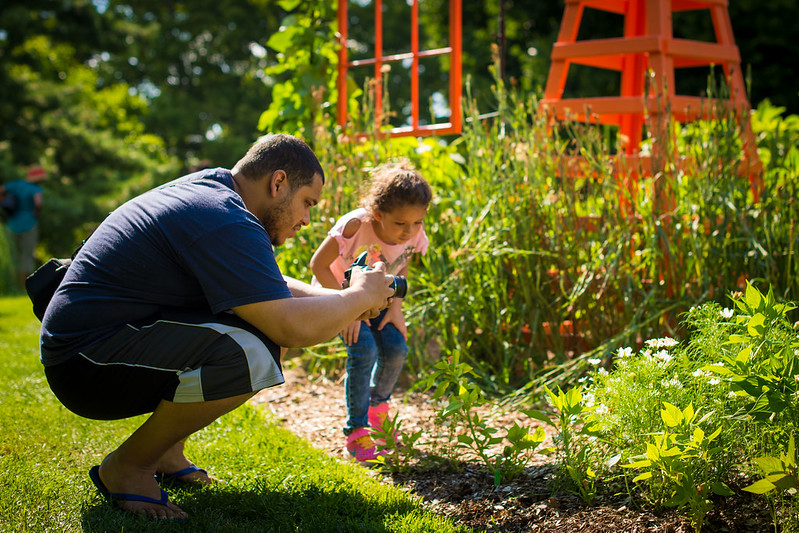 Vegetable Garden