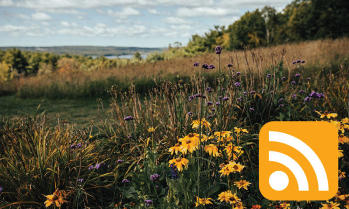 The northwestern meadow has a variety of flowers in bloom and overlooks the reservoir.